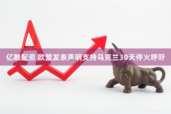 亿融配资 欧盟发表声明支持乌克兰30天停火呼吁