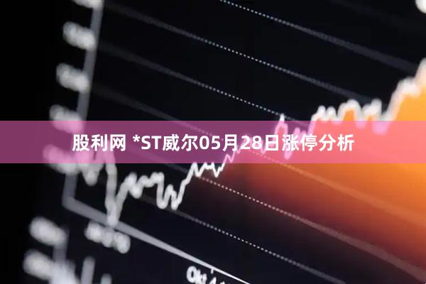 股利网 *ST威尔05月28日涨停分析