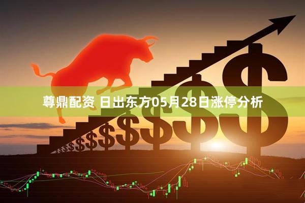 尊鼎配资 日出东方05月28日涨停分析