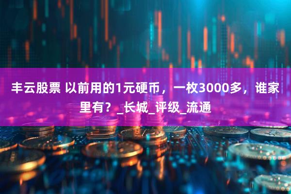 丰云股票 以前用的1元硬币，一枚3000多，谁家里有？_长城_评级_流通